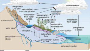 Water cyclus diagram